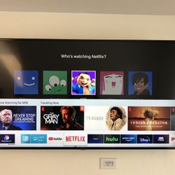 Samsung 55in TV