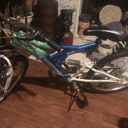 Bicicleta Muy Buena Condicion 