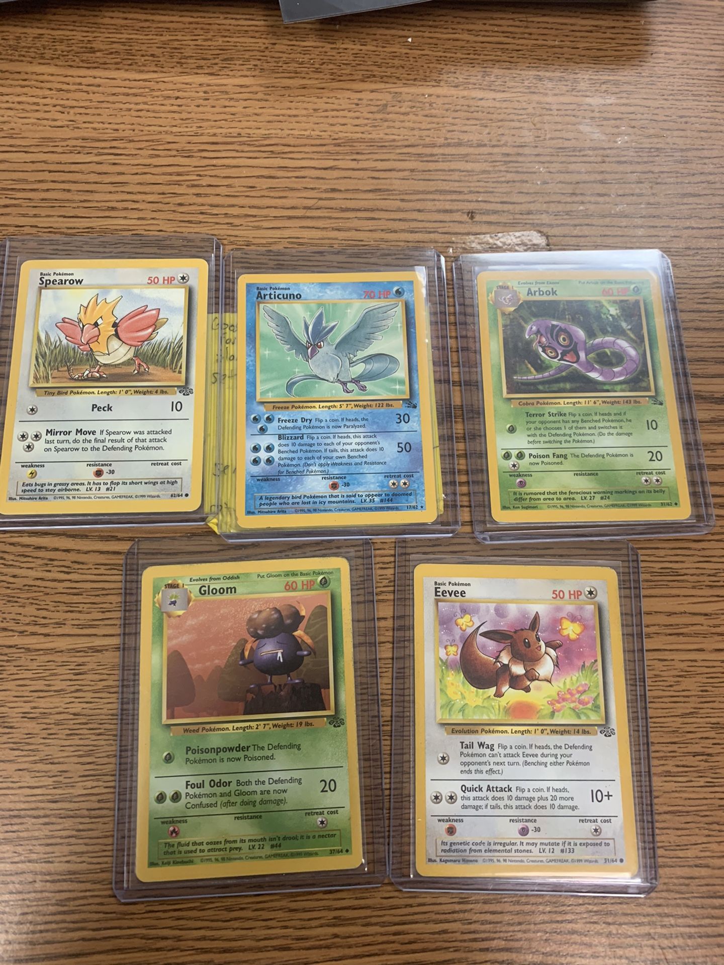 Pokémon Jungle Deck Cards