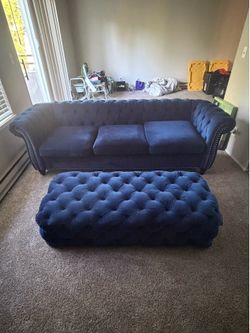 Royal Blue Velvet Couch