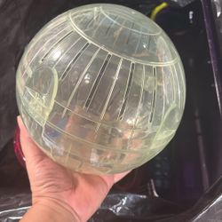 Hamster Cage And Different Stuff For Hamster. 