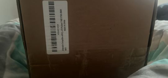 Alternator and serpentine belt