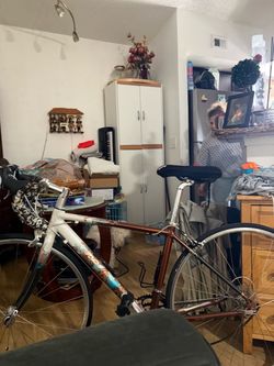Vintage Road Bike