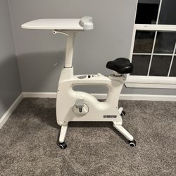 Flexispot Desk Bike