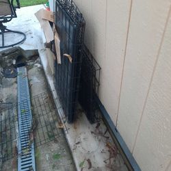 Dog cages 