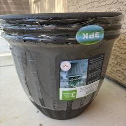 3 Pack Planters