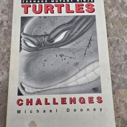 Teenage Mutant Ninja Turtles Challenges - Michael Dooney 1991 Comic Book