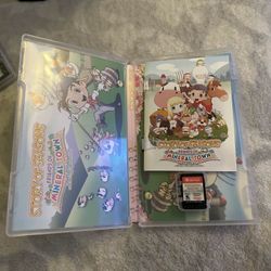 Story Of Seasons Friends Of Mineral Town 