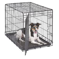Metal Cage
