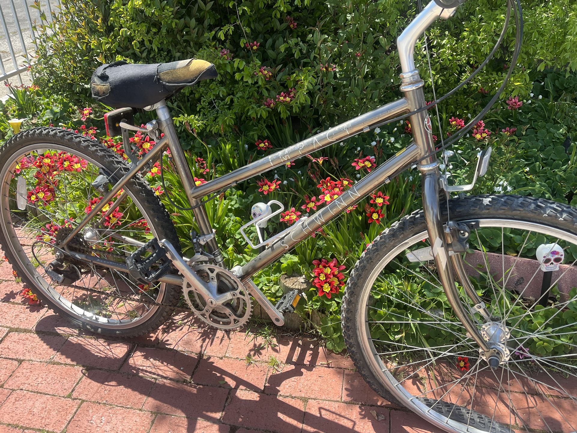 Schwinn Impact 1989