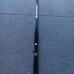 Shakespeare Sturdy Stik BWB 125 6'6"