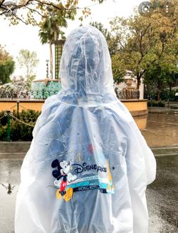 Disney World Poncho