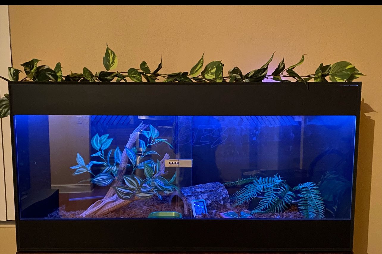 Reptile Cage (KAGE)