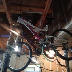 Bicycle Mongoose