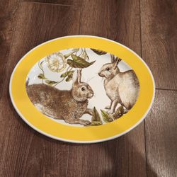 Williams Sonoma Large Spring Bunny pattern oval serving platter, ceramic porcelain, yellow banded design, dishwasher safe, 17.5"×13.5", great conditio