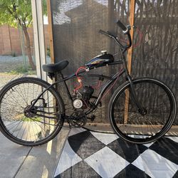 2 Stroke engine gas bicycle