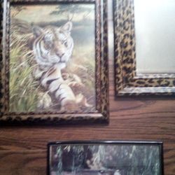 Tiger Decor Collection
