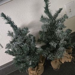 Small Decorative Tress
