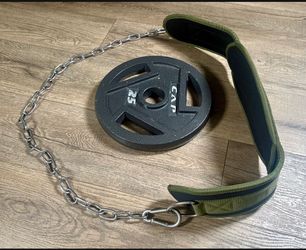 Seektop Weightlifting Dip Belt with a 25 lbs CAP  Weight Plate