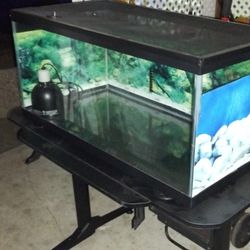 50.5 Gallon Aquarium/Terrarium Glass Tank With Stand And Light