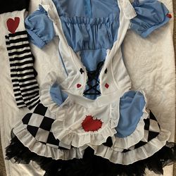 Teen Girl Alice In wonderland Costume 
