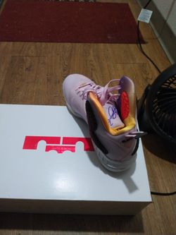 Brand New Lebron James 