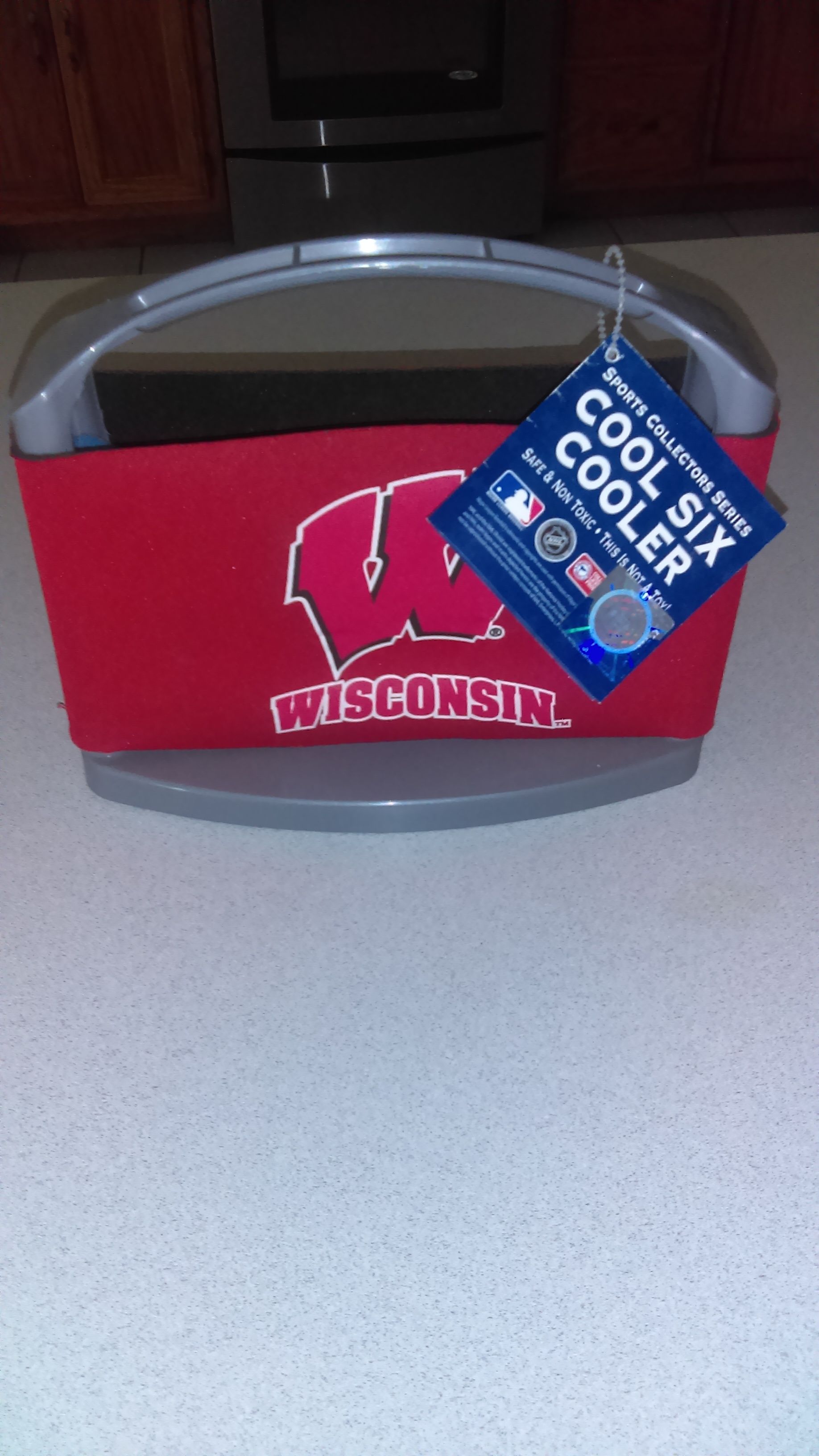 UNIVERSITY OF WISCONSIN COOL SIX COOLER FROM SPORTS COLLECTORS SERIES NEW WITH TAGS