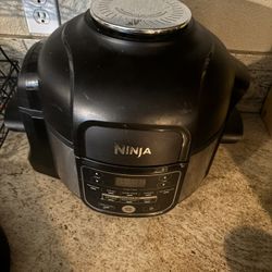 Ninja Air Fryer & Pressure Cooker 