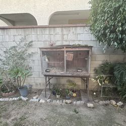 Bird Cage  