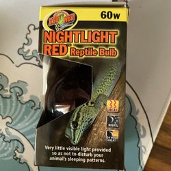 Red Heating Lamp For Reptiles
