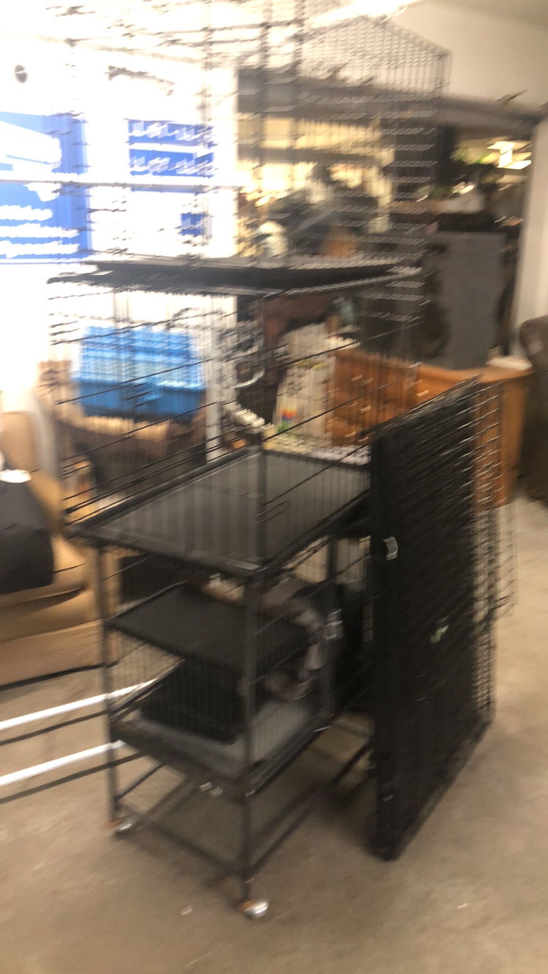 Pet Supply