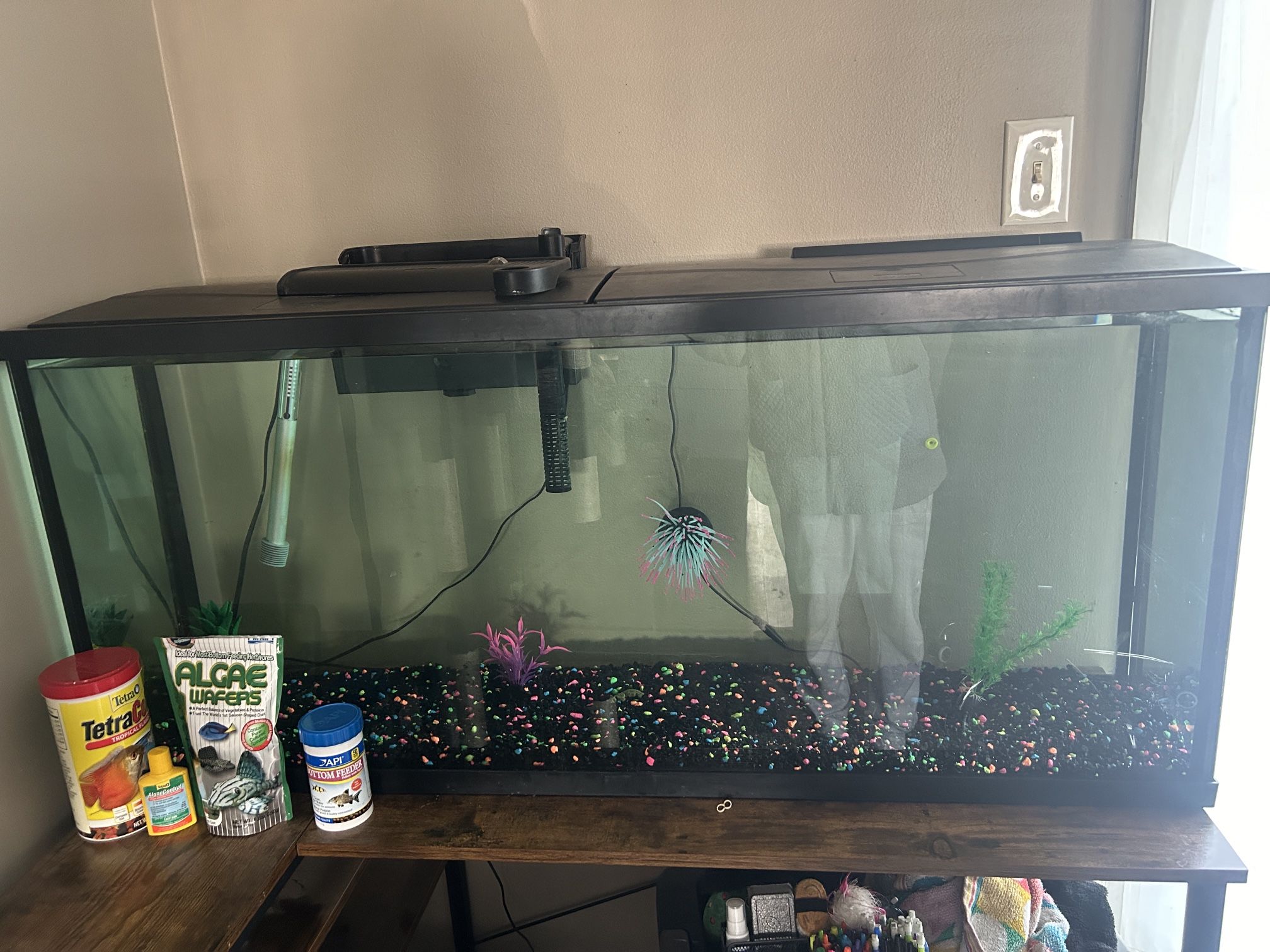 Fish Tank