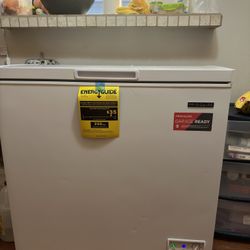 Freezer  Frigidaire Garage Ready