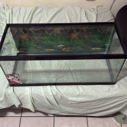 20 Gallon Fish Tank With Screen Lid 