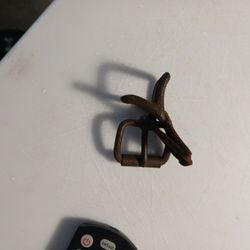 Civil War Confederate State Only Reigns Bridal