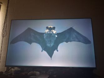 Phillips 60in Roku TV