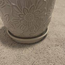 Flower Pot 