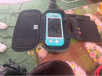 Switch lite