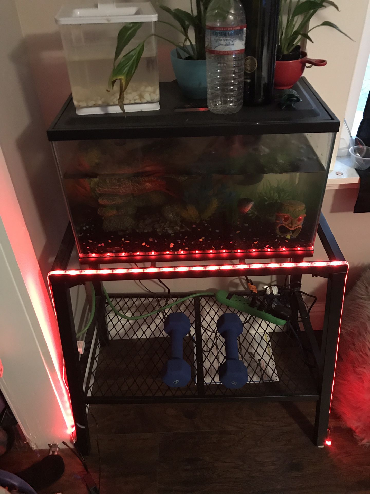 Fish tank w/ stand