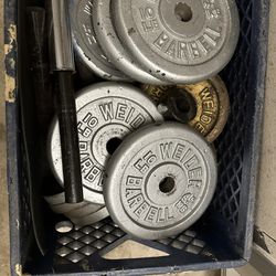 Assorted Barbell Plates 