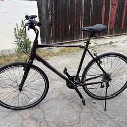 Giant XL Bike 21 speeds
