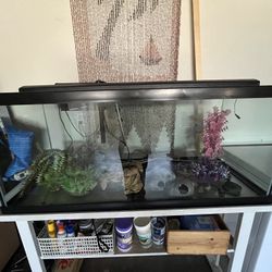 75 Gallon fish tank!