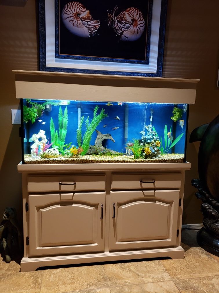 Fish tank and stand 55gal, $300 firm