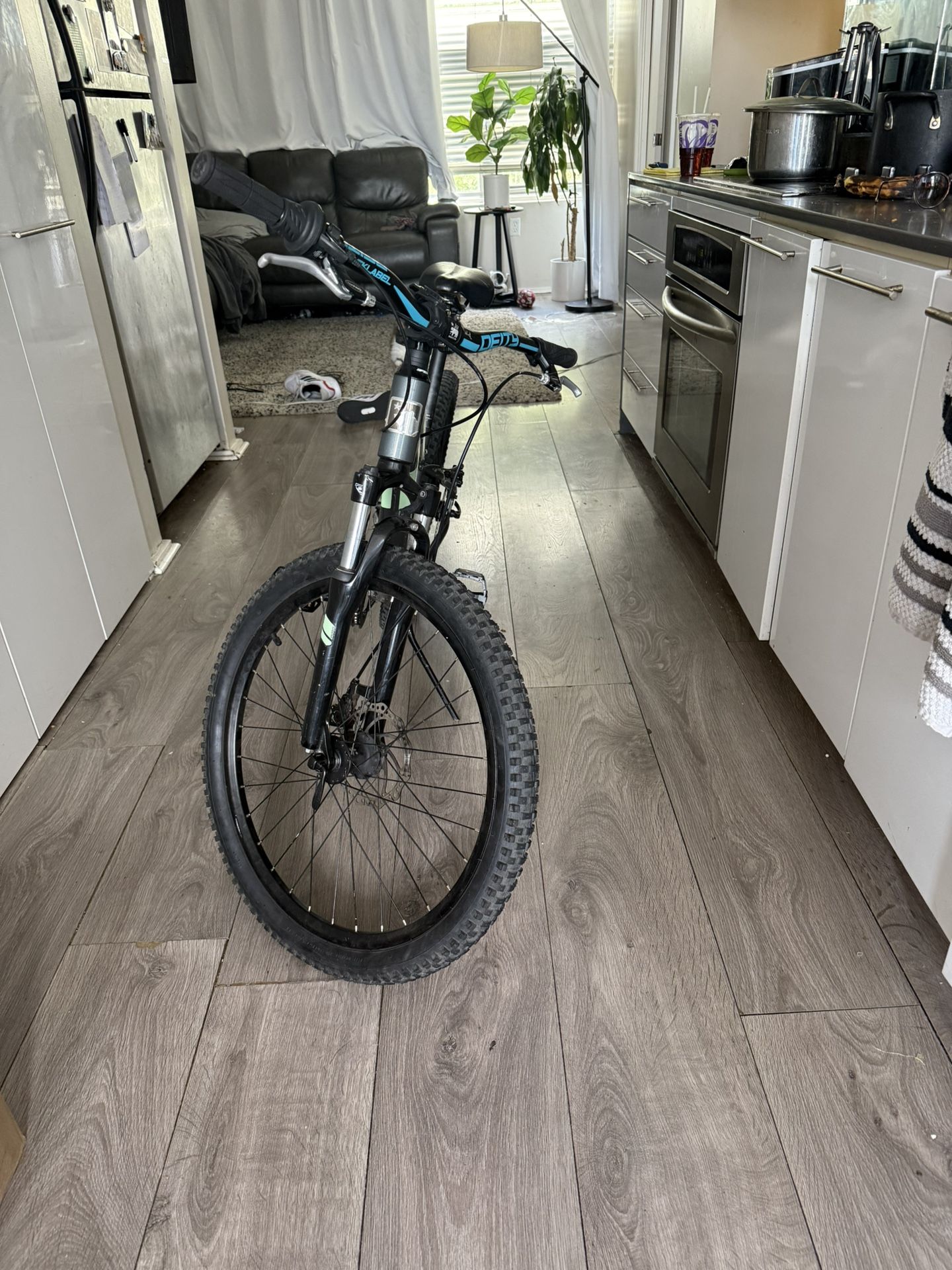 Marin mountain bike