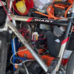 Eddie Bauer Aluminum  21 Speed Mountain Bike