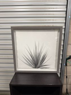 Framed Botanical Agave Wall Art – 13” × 13”