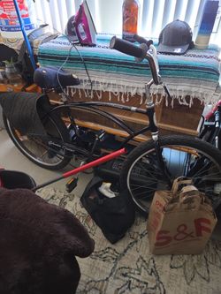 1980s ALL ORIGINAL SCHWINN CRUISER