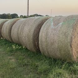 HAY FOR SALE 