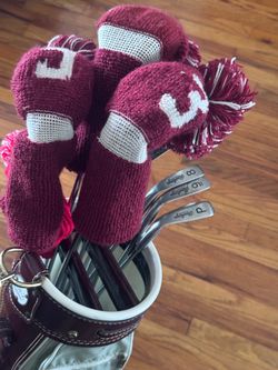 Vintage Rawlings Golf Set 3-PW Irons 1/3/5 Woods Bag Hood Headcovers