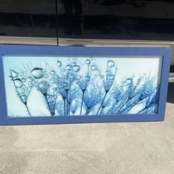 Framed Art Decor